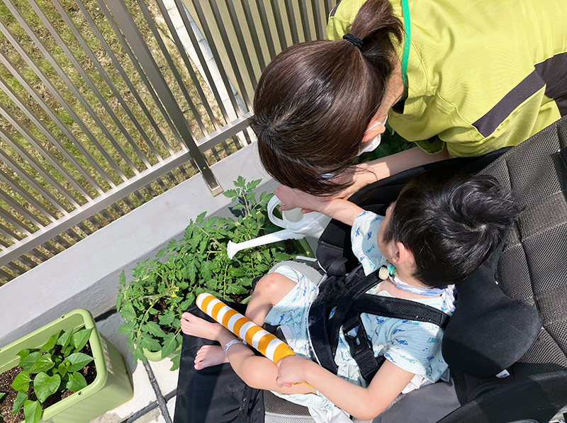 ★野菜を育てる★