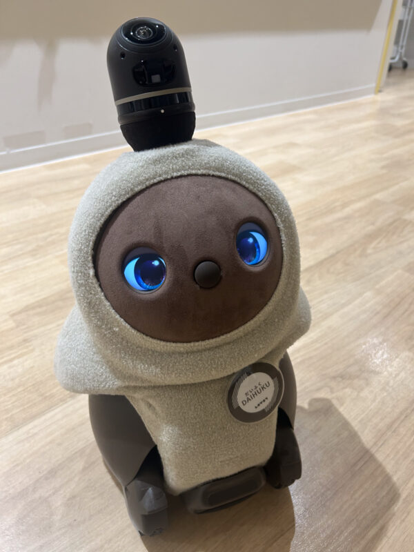 2025年11月13日（木）