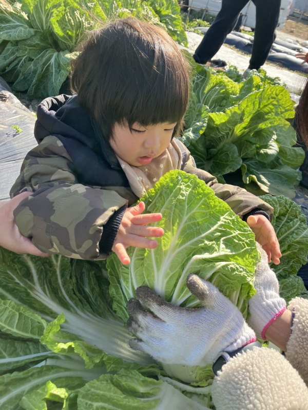 2026年2月2日（月）