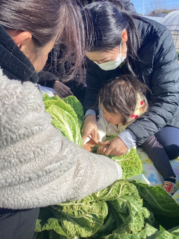 2026年2月2日（月）