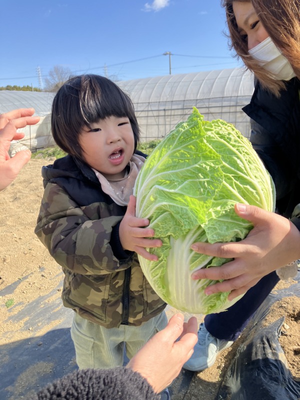 2026年2月2日（月）