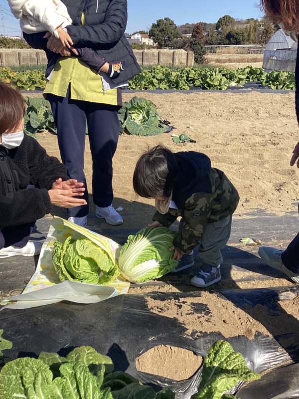 2026年2月2日（月）