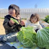 2026年2月2日（月）