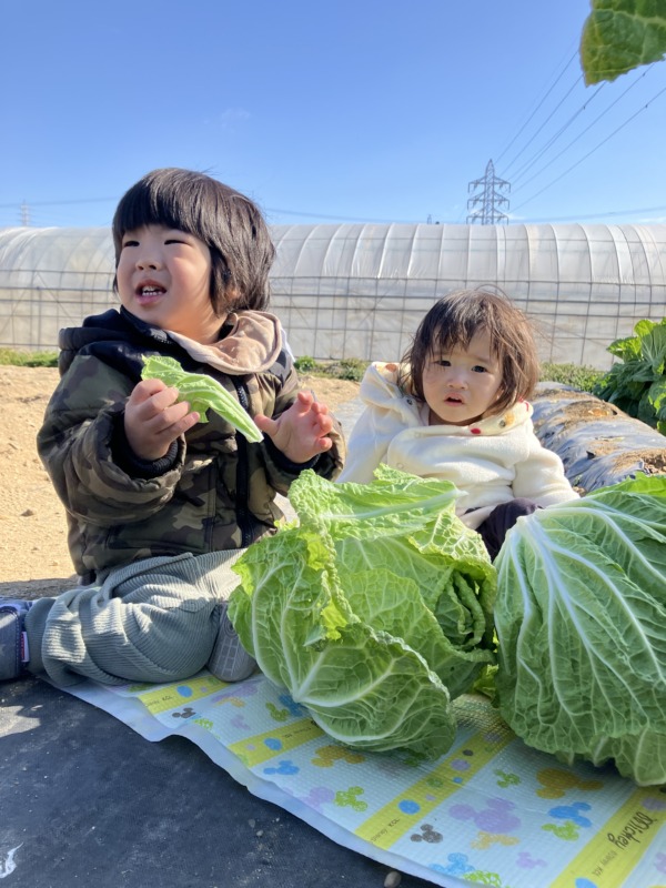 2026年2月2日（月）