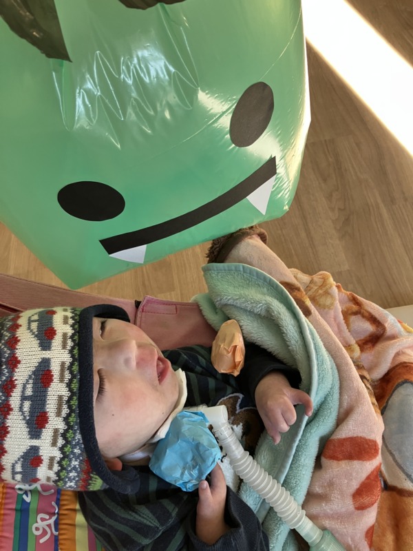 2026年2月3日（火）