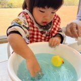 2026年2月18日（水）